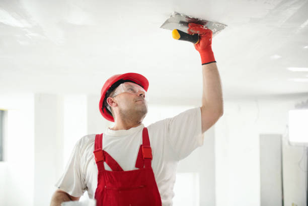 Best Ceiling Drywall Installation  in Lake Hamilton, FL